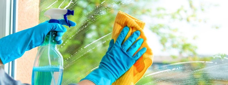 How to Clean Tree Sap off Windows The Complete Guide