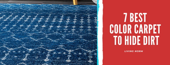 7 Best Color Carpet to Hide Dirt on Floors