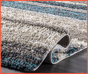 best color carpet to hide dirt