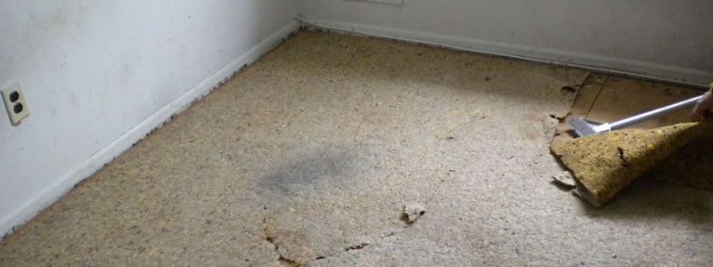 How To Remove Carpet Pad Stains From, How To Remove Carpet Stains From Hardwood Floors